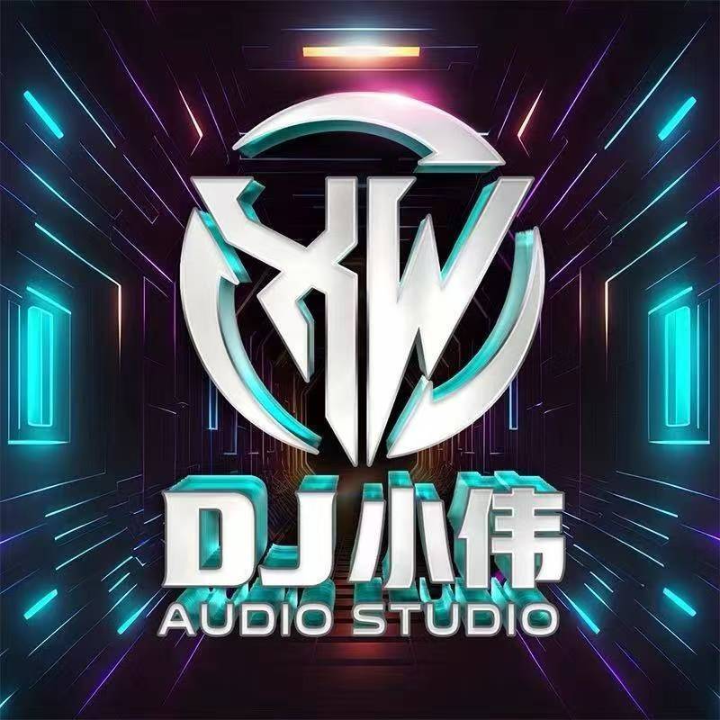 宁远Dj小伟